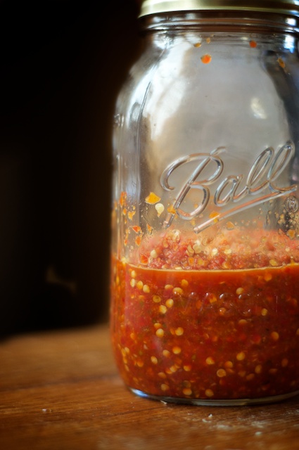 Fermented Hot Chili Sauce