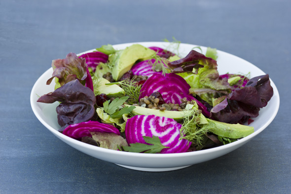 Lenatil-beet-salad-plate