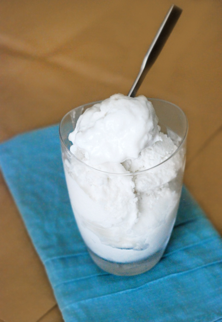 low-carb-vanilla-ice-cream-21