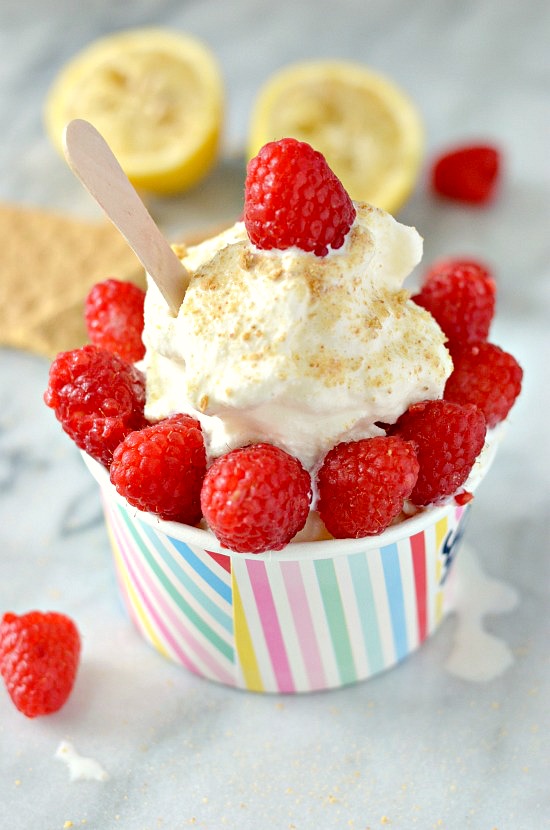 Raspberry-Tart-Vanilla-Ice-Cream-no-cook-no-eggs