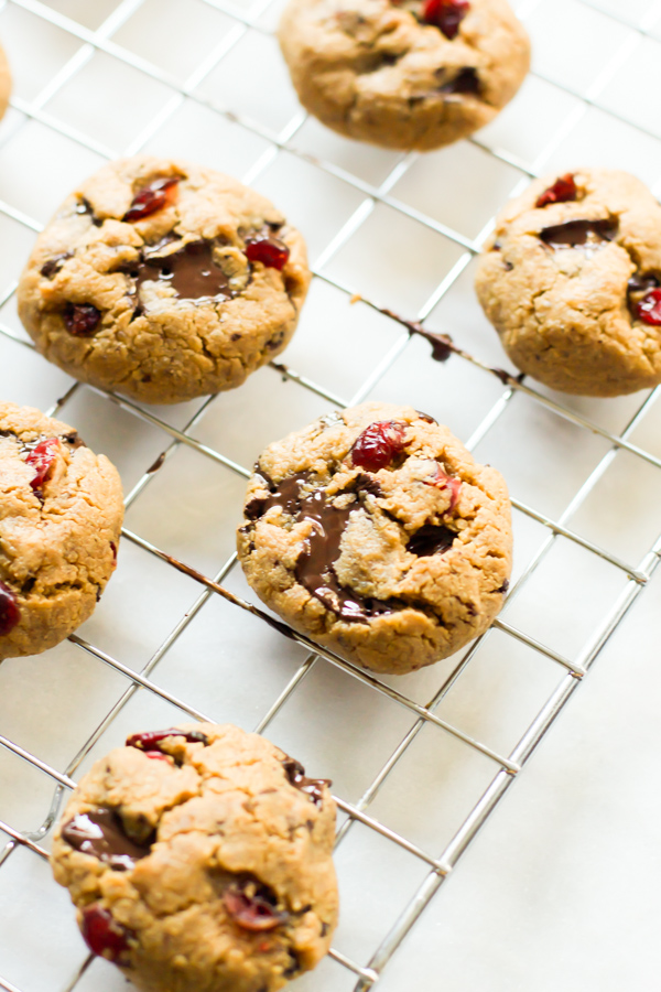 Cashew-Butter-Cookies-with-Cramberry-and-Chocolate-Chip