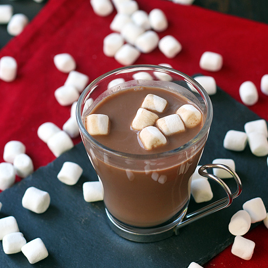 Easy-Homemade-Hot-Chocolate-Recipe-with-Peppermint-FoodGawker