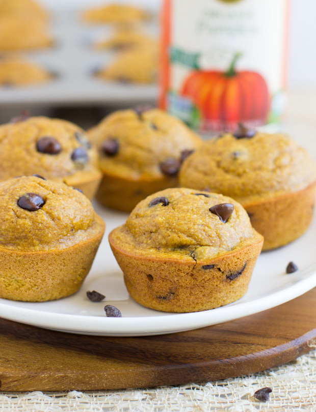Healthy-Flourless-Pumpkin-Muffins-4