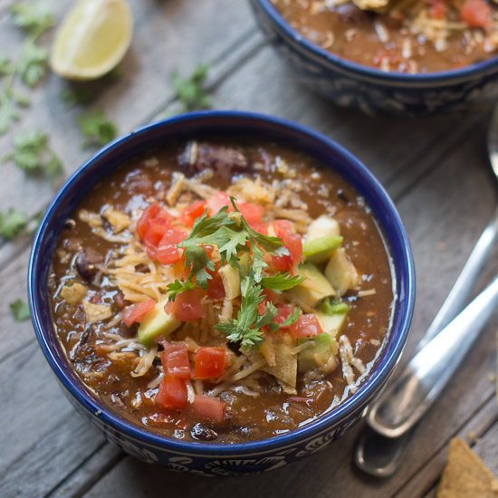 Mexican Style Tortilla Bean Soup