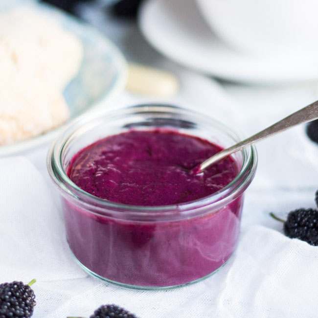 Mulberry-Curd-thumbnail