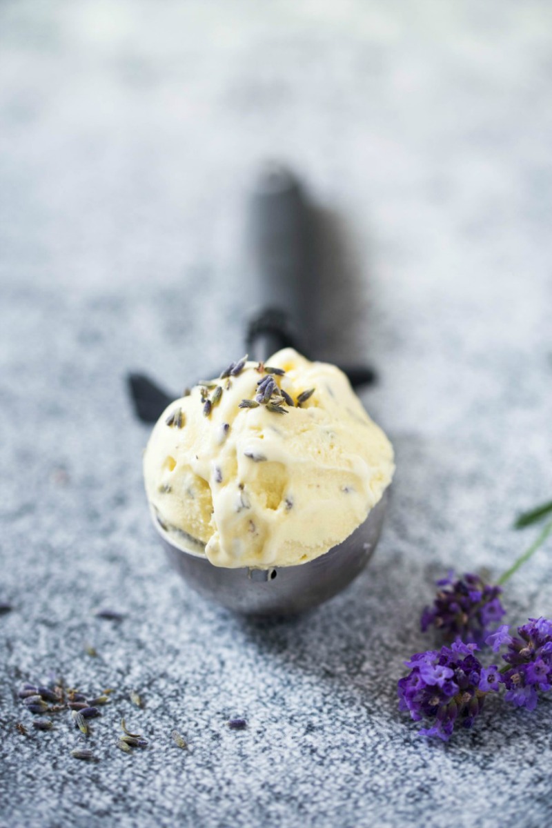 lavender-vanilla-ice-cream-1-1000