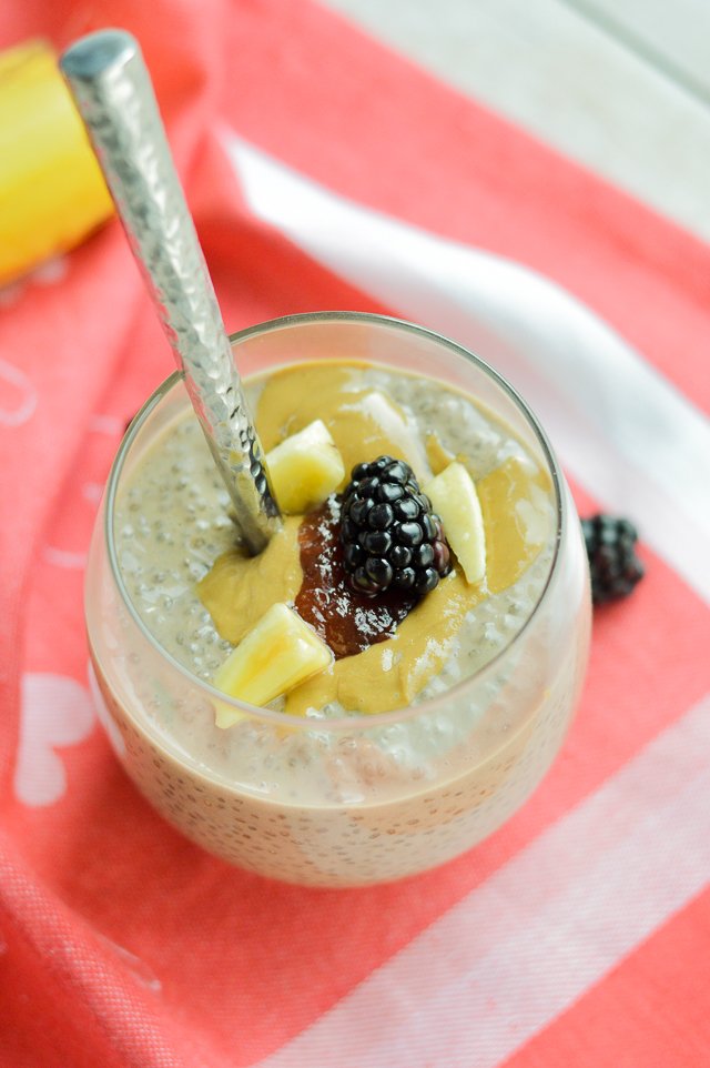 SunButter_and_Jelly_Chia_Pudding-6