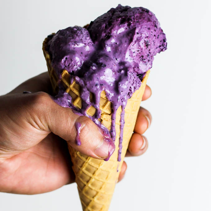 blueberry-vegan-frozen-yogurt-gluten-free-healthy-snack-dessert-dairy-free-square