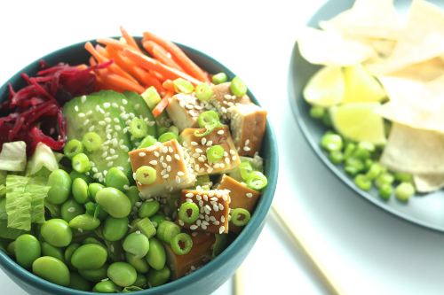 vegan-poke-bowl-recipe-veganprogram