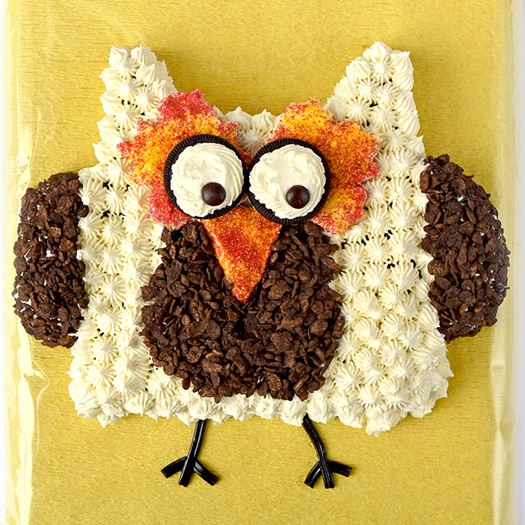 Owl-Cut-Up-Cake-4501-Square